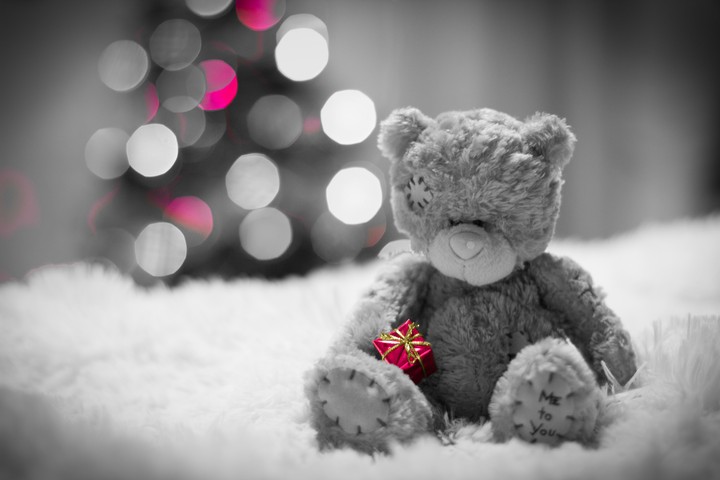 bear-bear-gift-bokeh-fur-sad