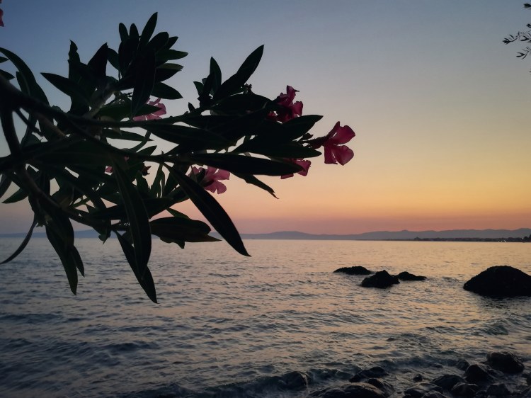 IMG_20190809_204029_753